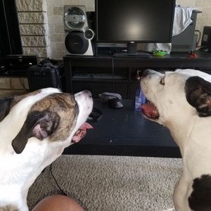 Meet your Posher, Jenetta